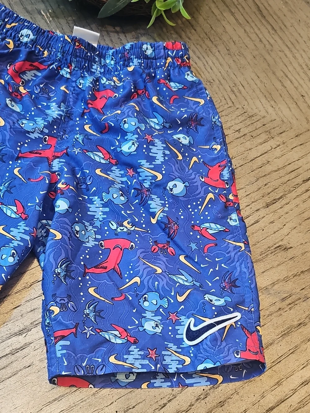Nike Swim Trunks Size M